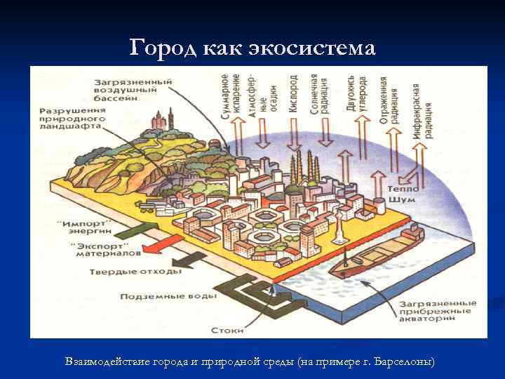 Город как экосистема Взаимодействие города и природной среды (на примере г. Барселоны) 