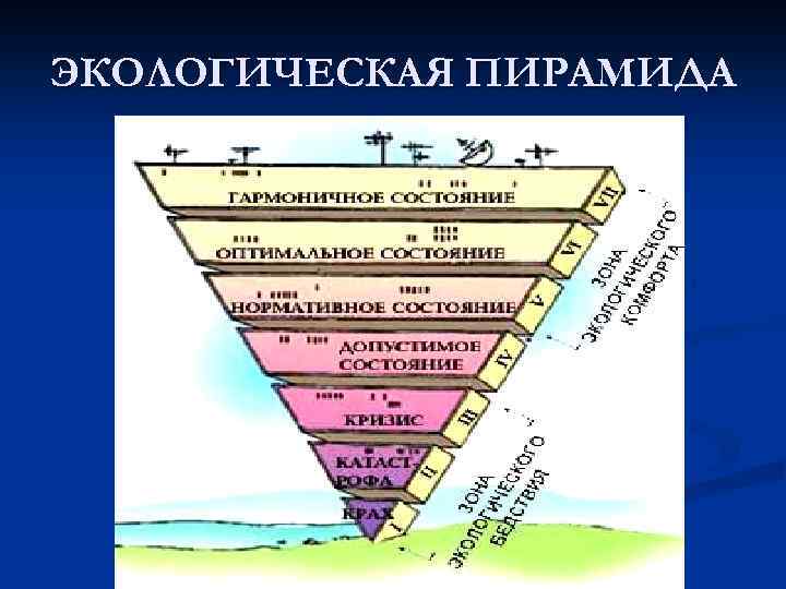 ЭКОЛОГИЧЕСКАЯ ПИРАМИДА 