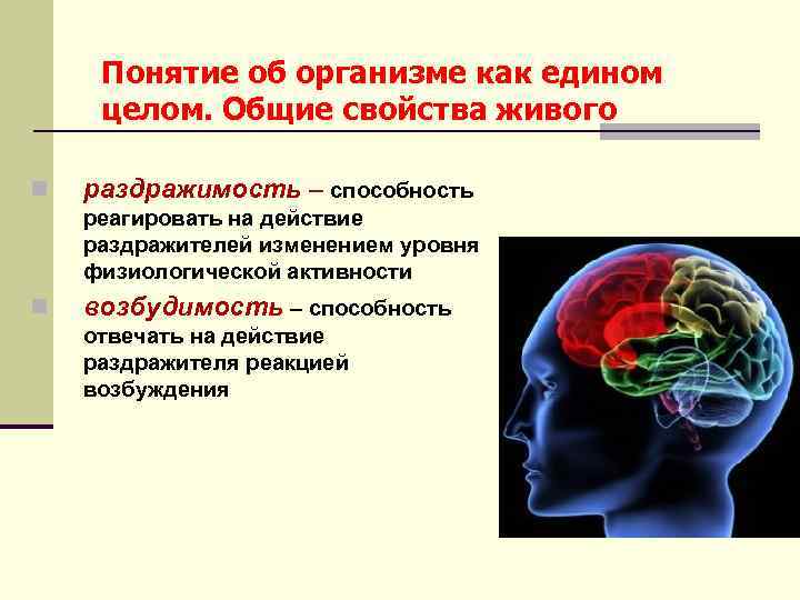 Понятие об организме как едином целом. Общие свойства живого n раздражимость – способность реагировать