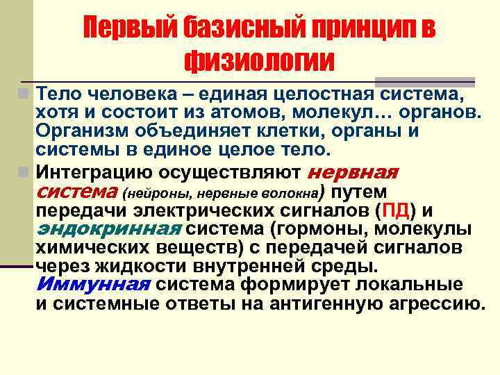 Первый базисный принцип в физиологии n Тело человека – единая целостная система, хотя и