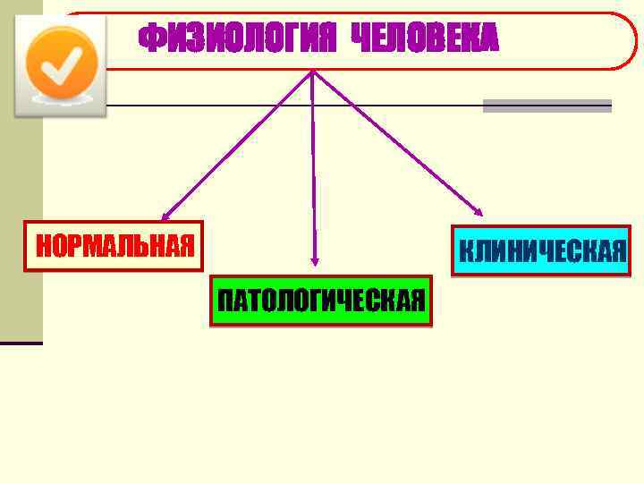  ФИЗИОЛОГИЯ ЧЕЛОВЕКА НОРМАЛЬНАЯ КЛИНИЧЕСКАЯ ПАТОЛОГИЧЕСКАЯ 