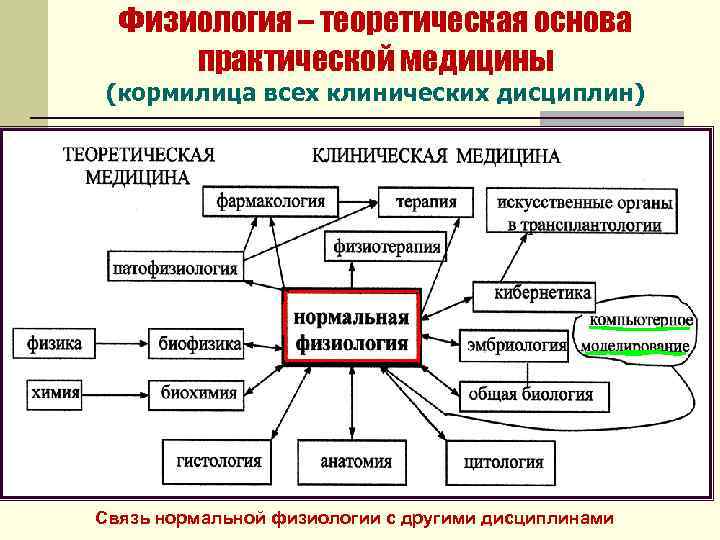 Физиология – теоретическая основа практической медицины (кормилица всех клинических дисциплин) Связь нормальной физиологии с