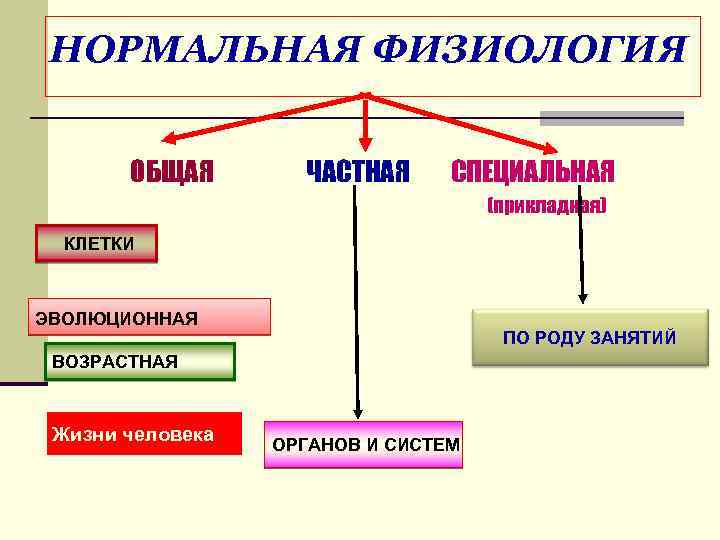 НОРМАЛЬНАЯ ФИЗИОЛОГИЯ ОБЩАЯ ЧАСТНАЯ СПЕЦИАЛЬНАЯ (прикладная) КЛЕТКИ ЭВОЛЮЦИОННАЯ ПО РОДУ ЗАНЯТИЙ ВОЗРАСТНАЯ Жизни человека