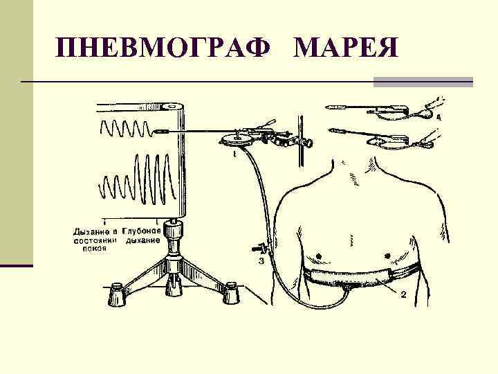 ПНЕВМОГРАФ МАРЕЯ 