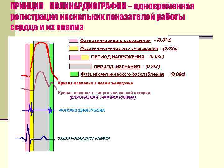 ПРИНЦИП ПОЛИКАРДИОГРАФИИ – одновременная регистрация нескольких показателей работы сердца и их анализ 