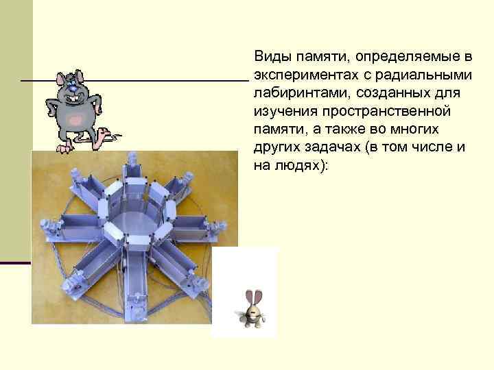 Виды памяти, определяемые в экспериментах с радиальными лабиринтами, созданных для изучения пространственной памяти, а