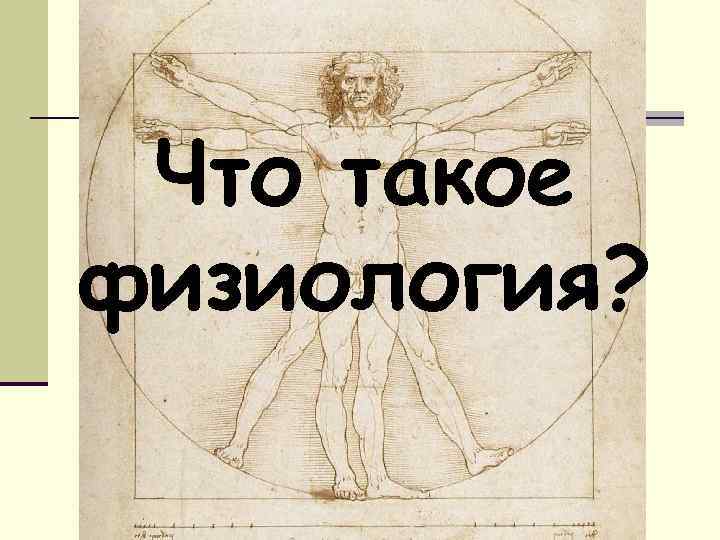 Что такое физиология? 