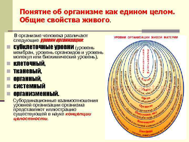 Понятие об организме как едином целом. Общие свойства живого. В организме человека различают следующие