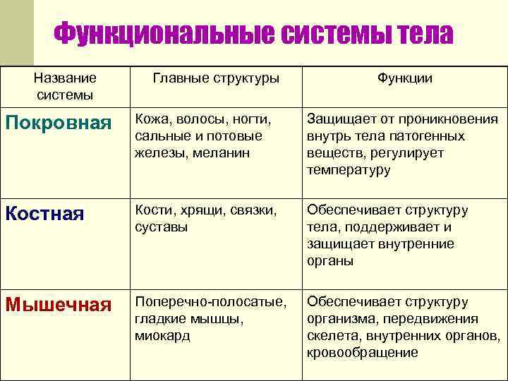 Функциональные системы тела Название системы Главные структуры Функции Покровная Кожа, волосы, ногти, сальные и