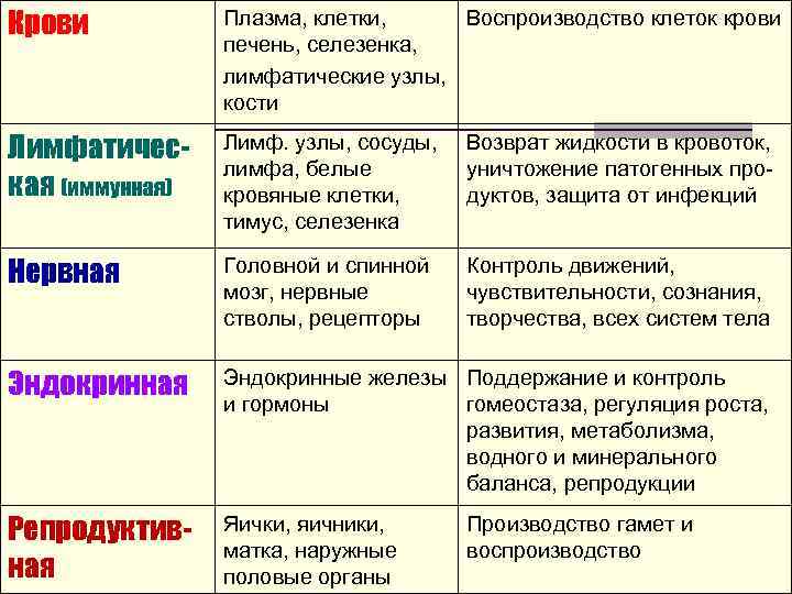 Крови Плазма, клетки, Воспроизводство клеток крови печень, селезенка, лимфатические узлы, кости Лимфатическая (иммунная) Лимф.