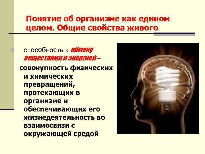 Понятие об организме как едином целом. Общие свойства живого. n способность к обмену веществами