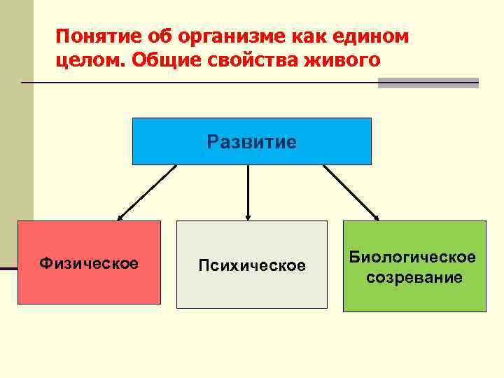 Понятие об организме как едином целом. Общие свойства живого Развитие Физическое Психическое Биологическое созревание