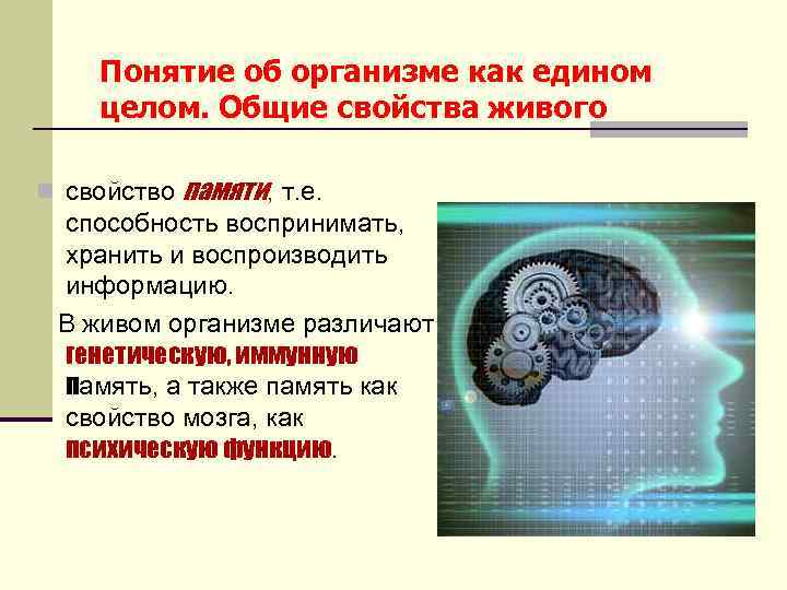 Понятие об организме как едином целом. Общие свойства живого n свойство памяти, т. е.