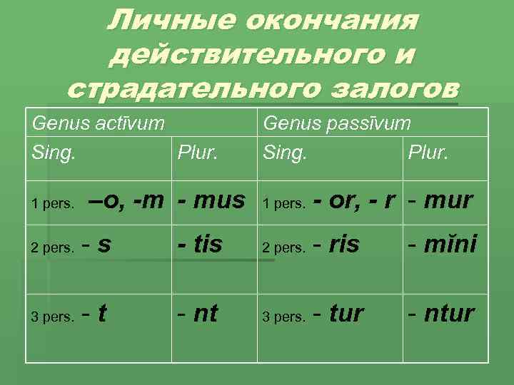 Личные окончания действительного и страдательного залогов Genus actīvum Sing. Plur. 1 pers. –o, -m