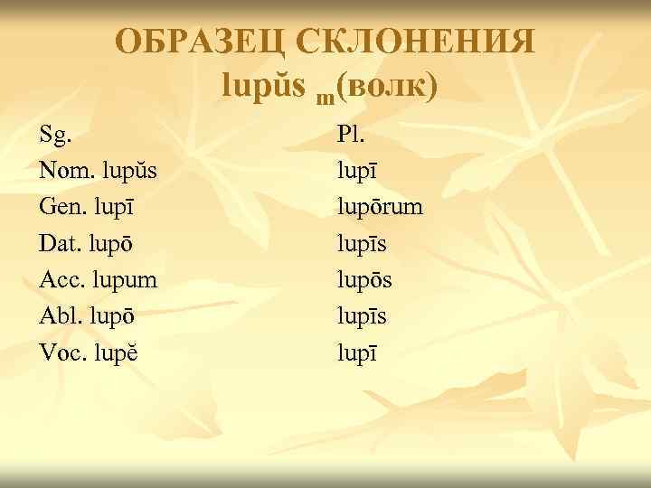 ОБРАЗЕЦ СКЛОНЕНИЯ lupŭs m(волк) Sg. Nom. lupŭs Gen. lupī Dat. lupō Acc. lupum Abl.