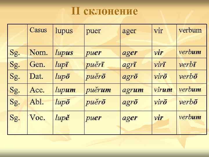 II склонение Casus lupus puer ager vir verbum Sg. Sg. Nom. Gen. Dat. lupus