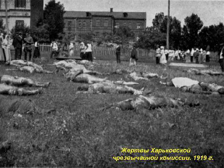 Жертвы Харьковской чрезвычайной комиссии. 1919 г. 