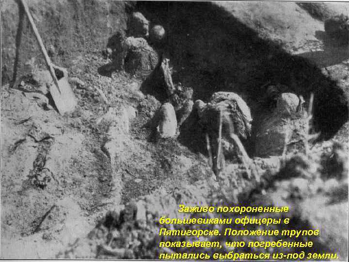 Заживо похороненные большевиками офицеры в Пятигорске. Положение трупов показывает, что погребенные пытались выбраться из-под