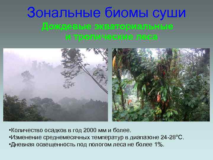 Зональные биомы суши Дождевые экваториальные и тропические леса • Количество осадков в год 2000