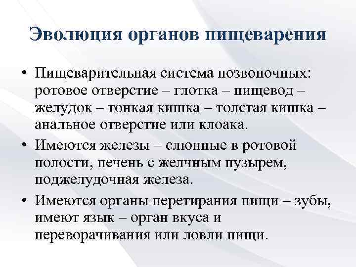 Эволюция органов пищеварения • Пищеварительная система позвоночных: ротовое отверстие – глотка – пищевод –