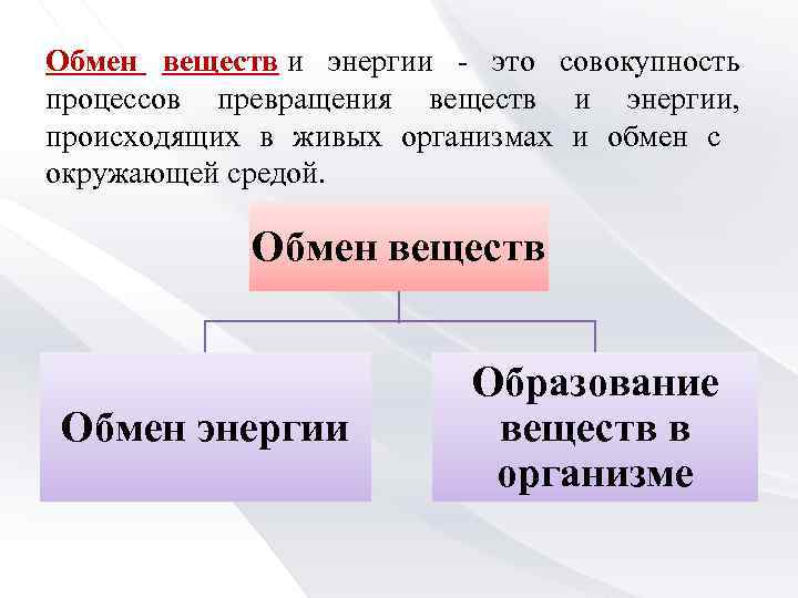 Собственного обмена веществ