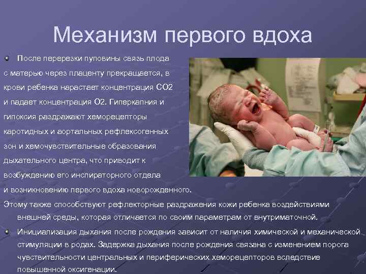 Механизм первого вдоха После перерезки пуповины связь плода с матерью через плаценту прекращается, в