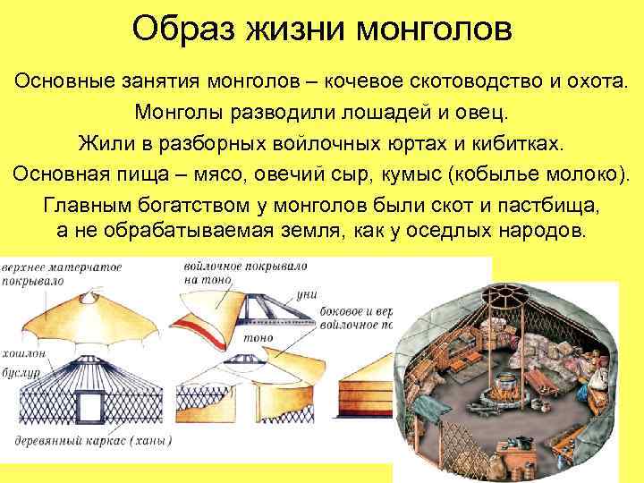 Образ жизни монголов Основные занятия монголов – кочевое скотоводство и охота. Монголы разводили лошадей