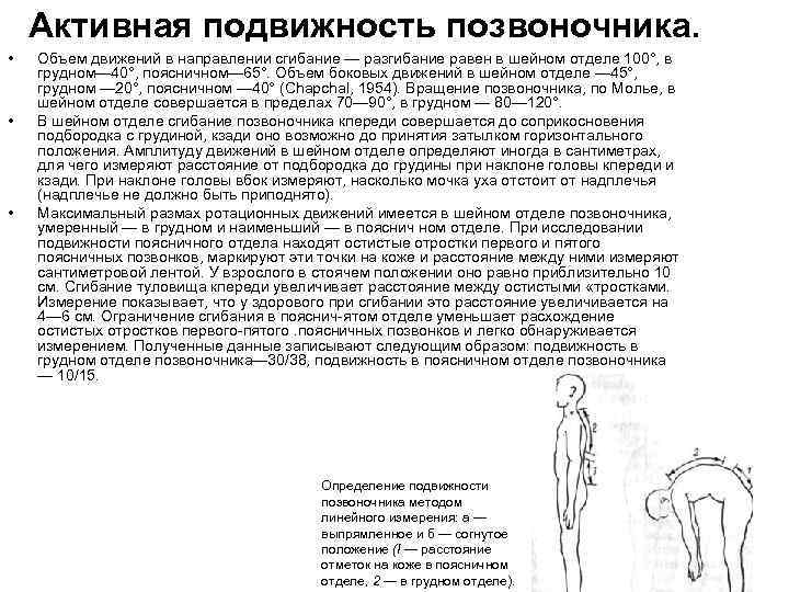 Активная подвижность позвоночника. • • • Объем движений в направлении сгибание — разгибание равен