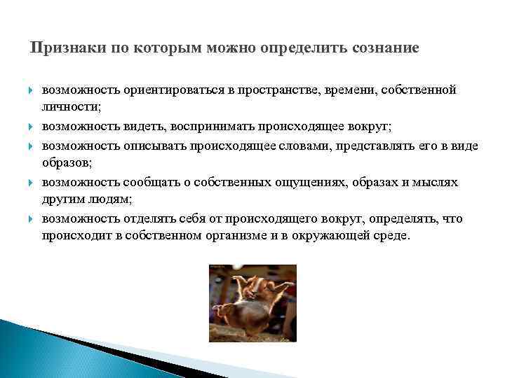 Признаки по которым можно определить сознание возможность ориентироваться в пространстве, времени, собственной личности; возможность