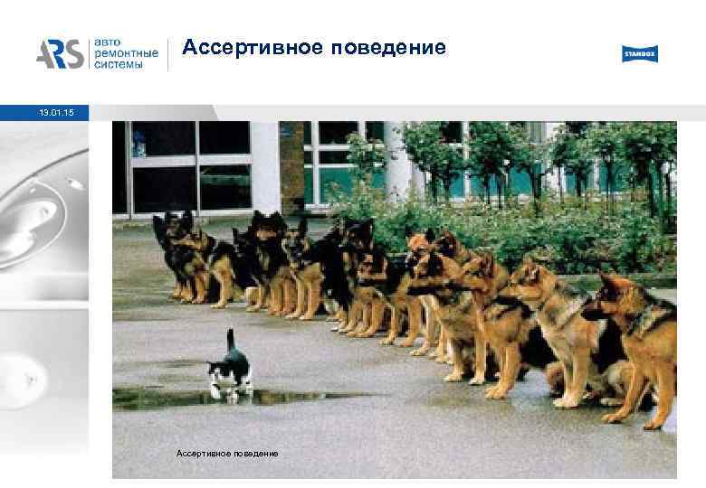 Ассертивное поведение 13. 01. 15 Ассертивное поведение 