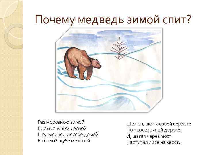 Почему медведь зимой спит? Раз морозною зимой Вдоль опушки лесной Шел медведь к себе