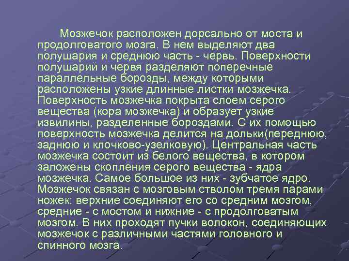 Мозжечок расположен дорсально от моста и продолговатого мозга. В нем выделяют два полушария и