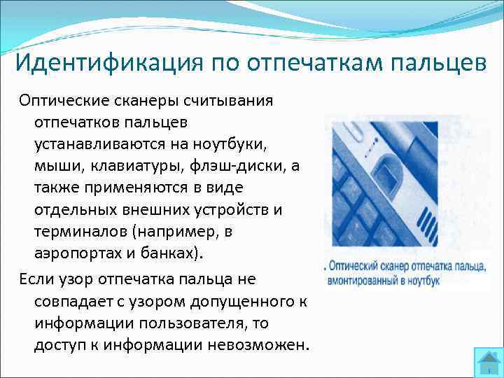 Идентификация по отпечаткам пальцев Оптические сканеры считывания отпечатков пальцев устанавливаются на ноутбуки, мыши, клавиатуры,