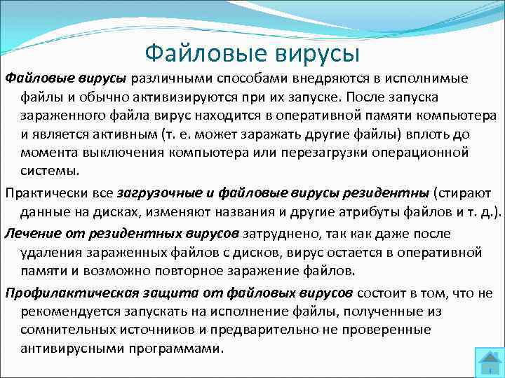 Файловые вирусы различными способами внедряются в исполнимые файлы и обычно активизируются при их запуске.