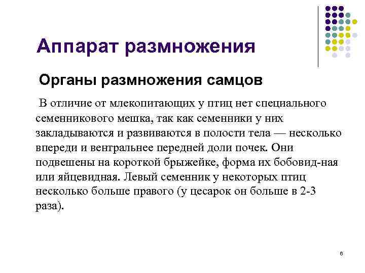 Аппарат размножения Органы размножения самцов В отличие от млекопитающих у птиц нет специального семенникового