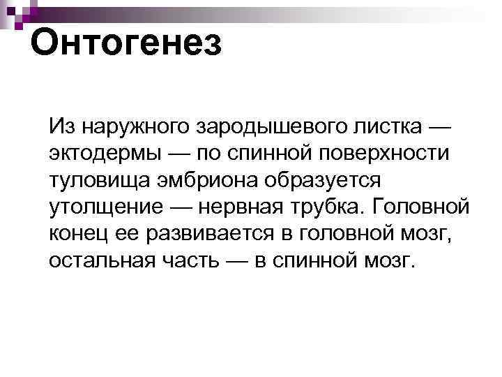 Онтогенез Из наружного зародышевого листка — эктодермы — по спинной поверхности туловища эмбриона образуется