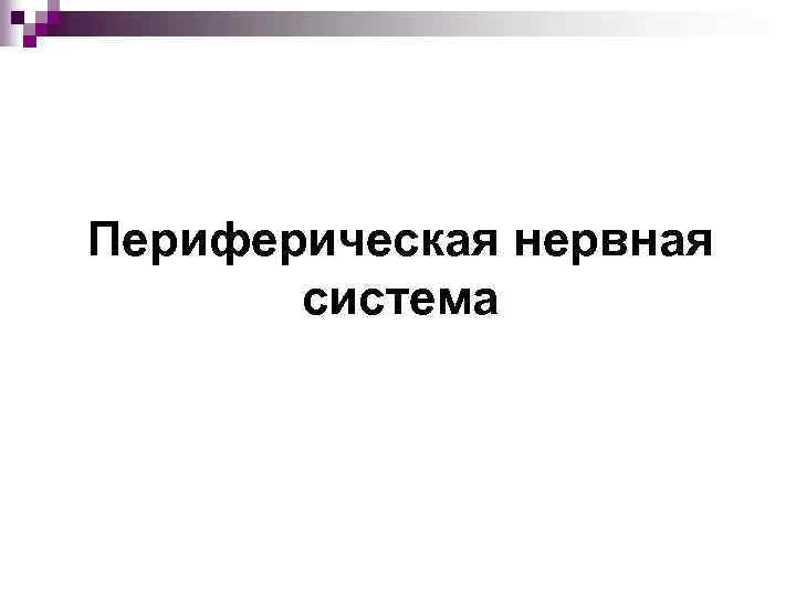Периферическая нервная система 