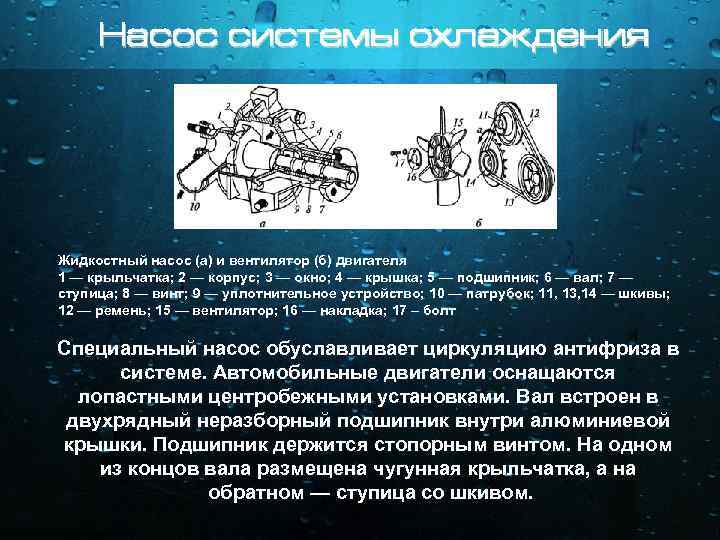 Насос системы охлаждения Жидкостный насос (а) и вентилятор (б) двигателя 1 — крыльчатка; 2