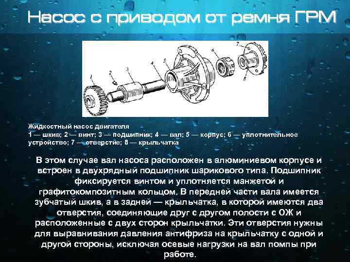 Насос с приводом от ремня ГРМ Жидкостный насос двигателя 1 — шкив; 2 —