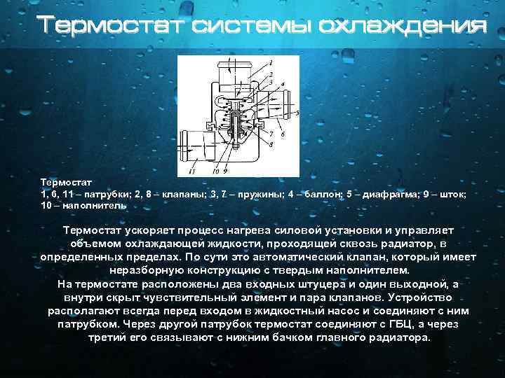 Термостат системы охлаждения Термостат 1, 6, 11 – патрубки; 2, 8 – клапаны; 3,