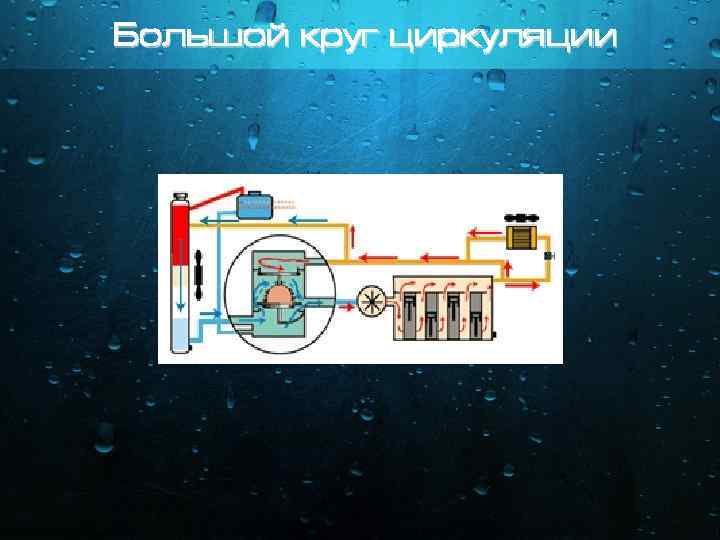 Большой круг циркуляции 
