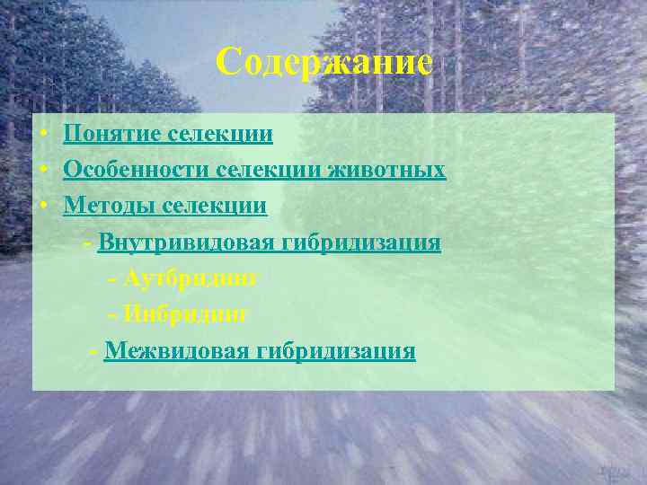 Содержание • Понятие селекции • Особенности селекции животных • Методы селекции - Внутривидовая гибридизация