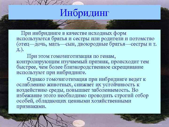 Инбридинг При инбридинге в качестве исходных форм используются братья и сестры или родители и