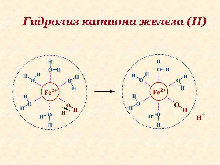 Гидролиз катиона железа (II) 