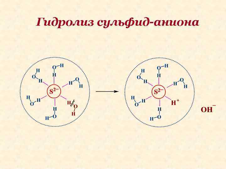 Гидролиз сульфид-аниона 
