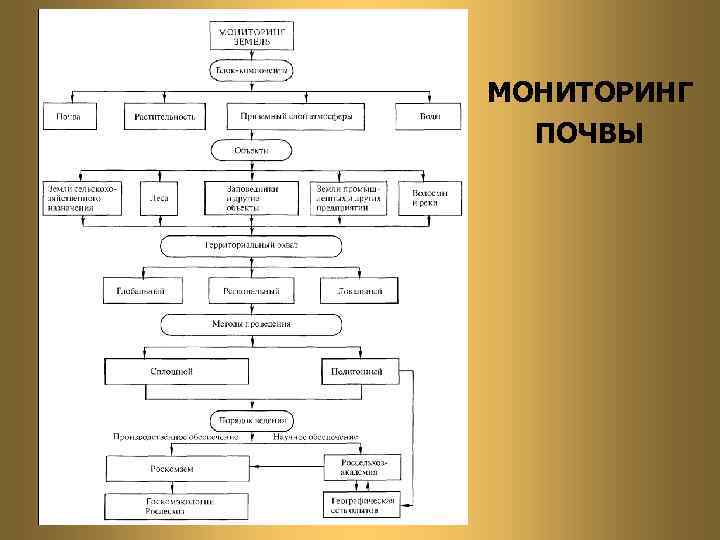 МОНИТОРИНГ ПОЧВЫ 