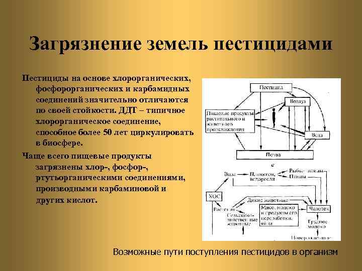 Загрязнение земель пестицидами Пестициды на основе хлорорганических, фосфорорганических и карбамидных соединений значительно отличаются по