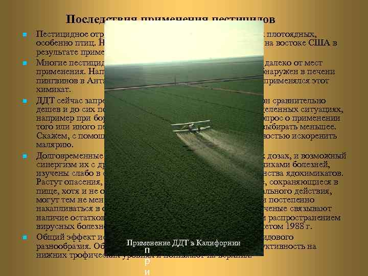 Последствия применения пестицидов n n n Пестицидное отравление губительно действует на многих плотоядных, особенно