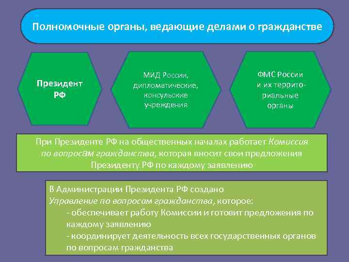 Полномочными органами ведающими о гражданстве являются. Полномочные органы ведающие делами о гражданстве. Органы ведущие делами о гражданстве. Полномочия органов ведающих делами о гражданстве.