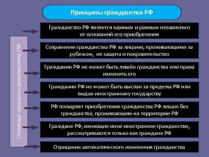 Понятие и принципы гражданства